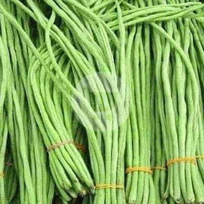 

Kacang Panjang 1 Ikat 250 g