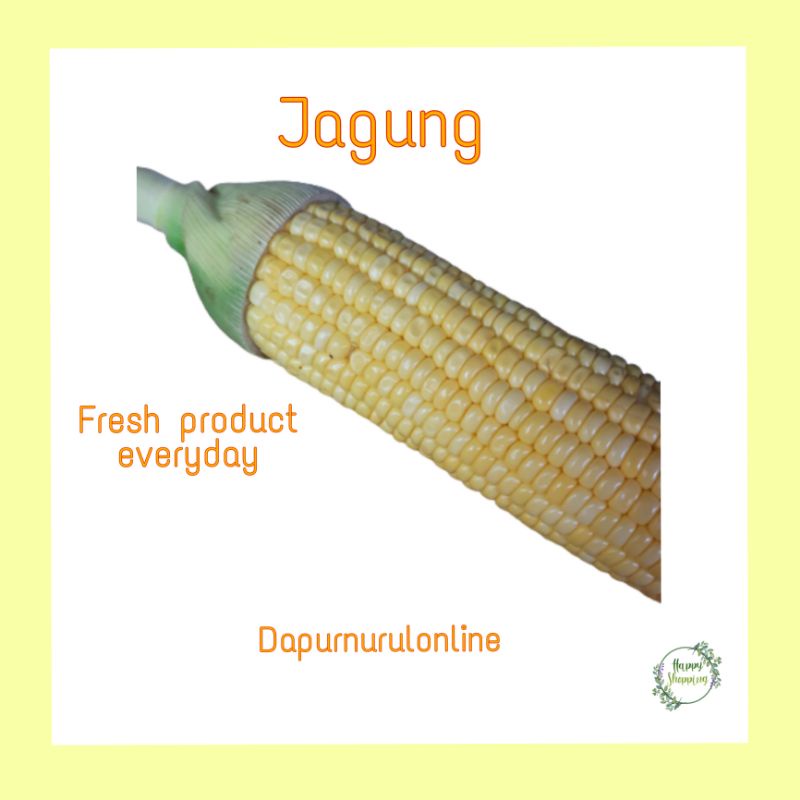 

Jagung isi 3