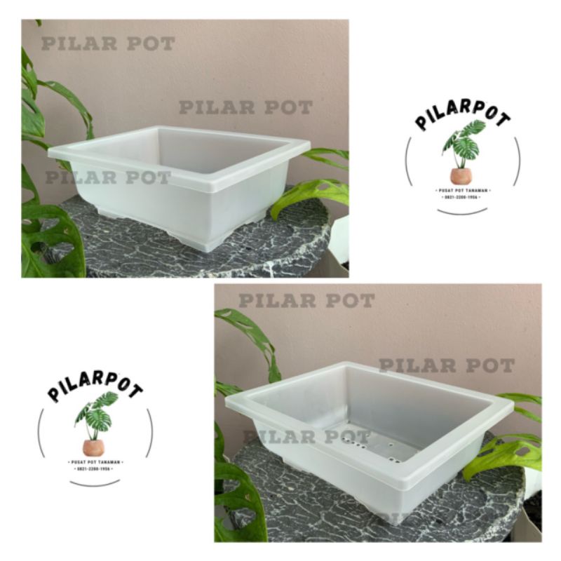 pot bunga tanaman ceper NKT BONSAI 01 BENING TRANSPARAN - NKT BONSAI 01