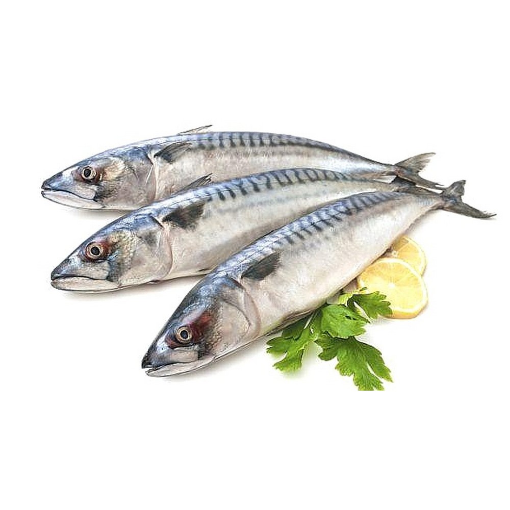 

Ikan Sarden 500 Gram