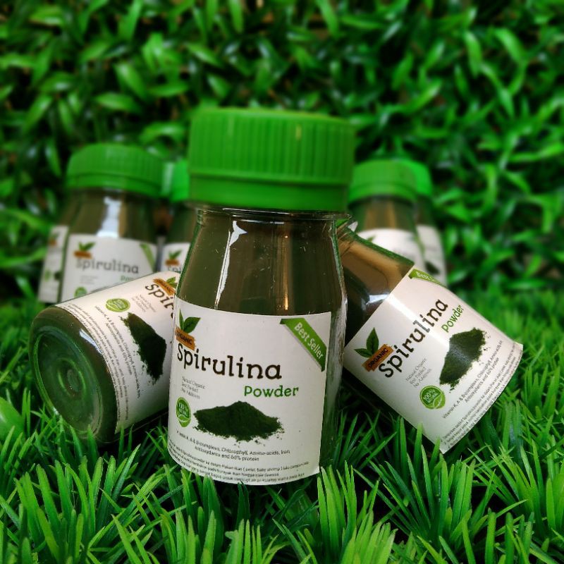 Spirulina Powder pakan Cupang Guppy  dan Burayak ikan