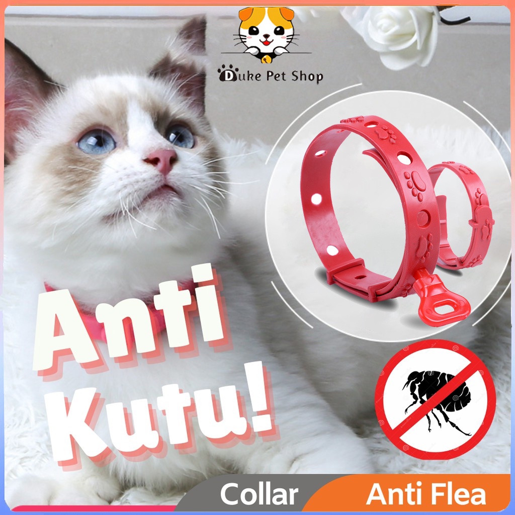 kalung kucing anti kutu pinjal, kalung anjing anti kutu anti ulat aksesoris kalung untuk hewan peliharaan
