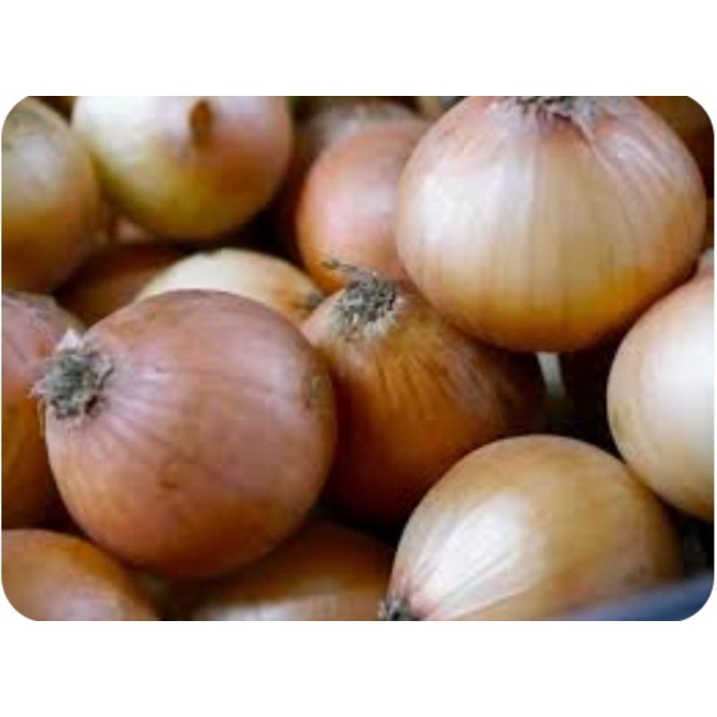 

Bawang Bombay