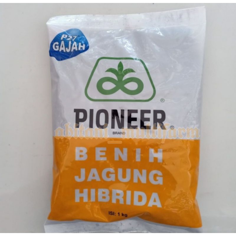 BIBIT - BENIH JAGUNG P27 GAJAH - 1 KG