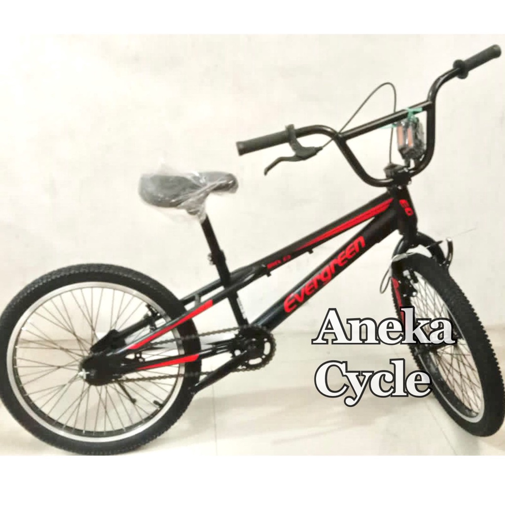 Sepeda Dewasa BMX Evergreen F3 Rotor Torpedo 20 Freestyle Murah