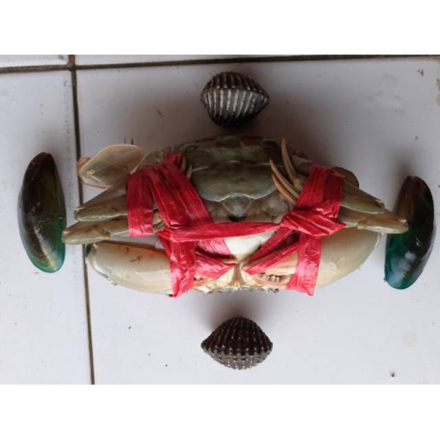 

Paket Hemat 5kg ( piting telur full1kg+dara2kg+ijo2kg )