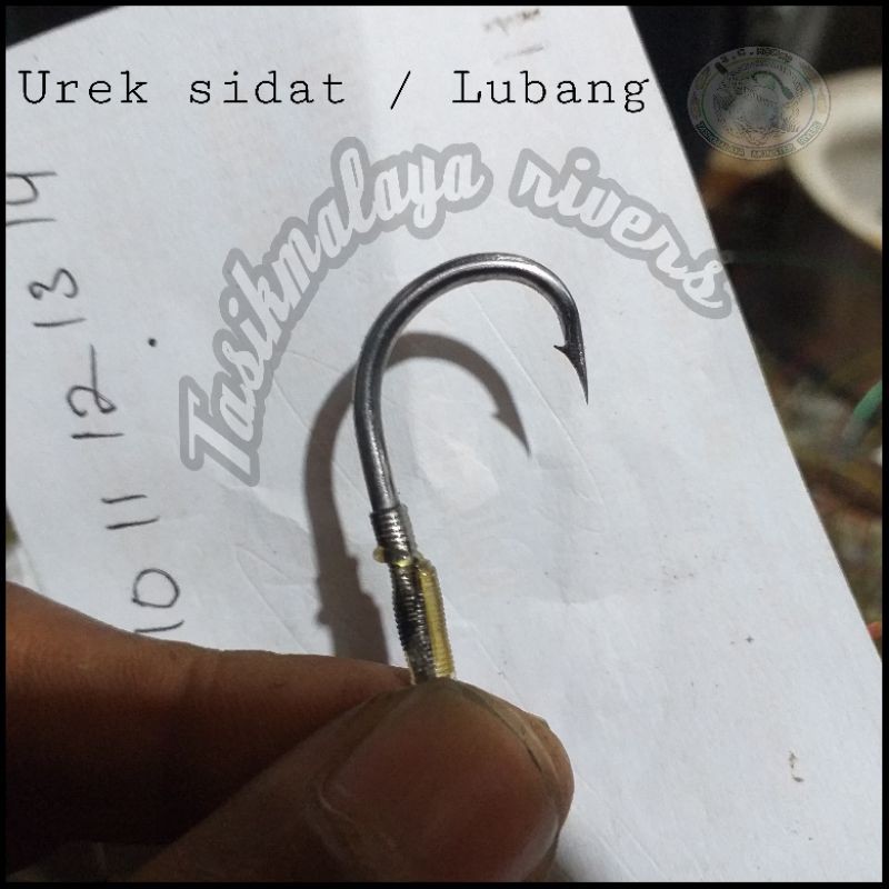 urek sidat / lubang super