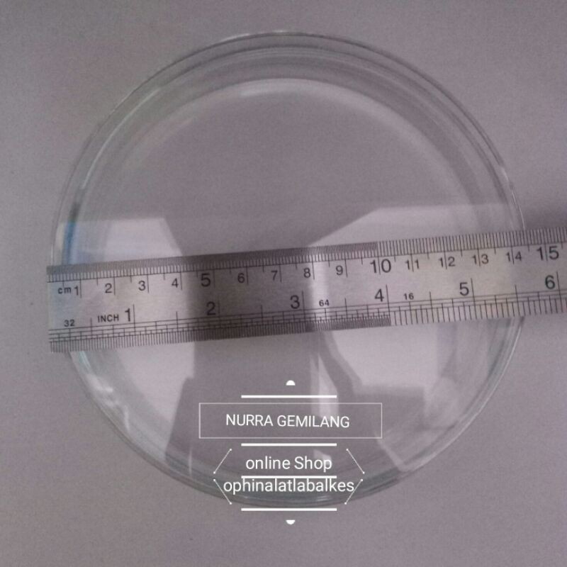 Cawan Petri Kaca 150x25 mm Anumbra / Petridish Kaca 150x25 mm Anumbra