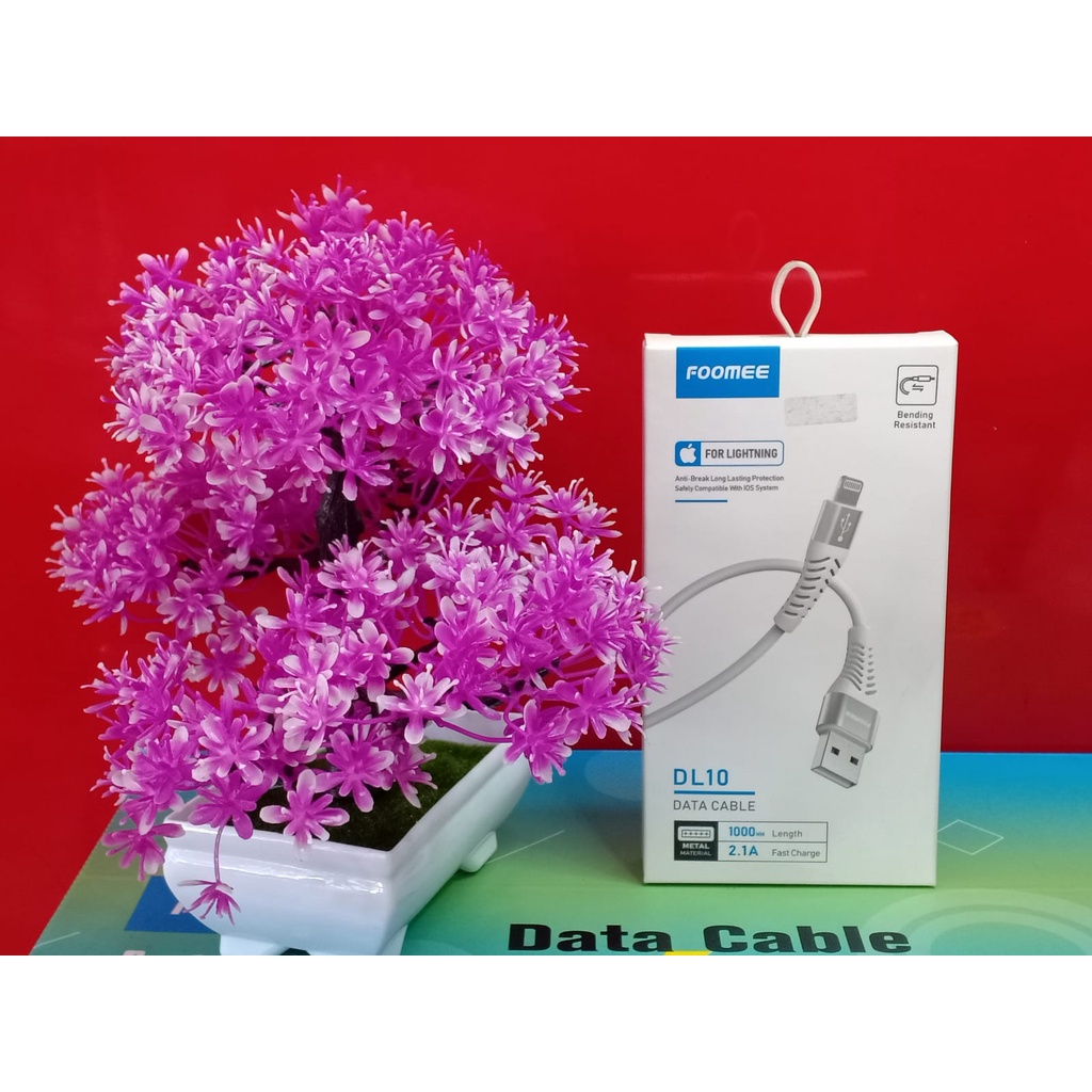 FOOMEE KABEL LIGHTHING DL10