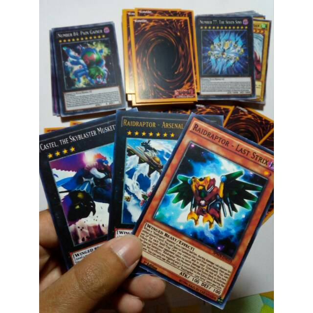 Yugioh KW yugi deck raidraptors