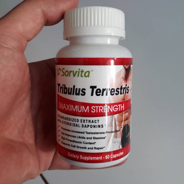 Suplemen Otot Pria Sorvita Tribulus Terrestris Maximum Strength