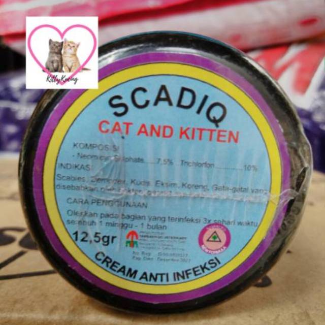 SCADIQ Cream Anti Infeksi Luka Koreng Jamur Gatal Kucing dan Kitten