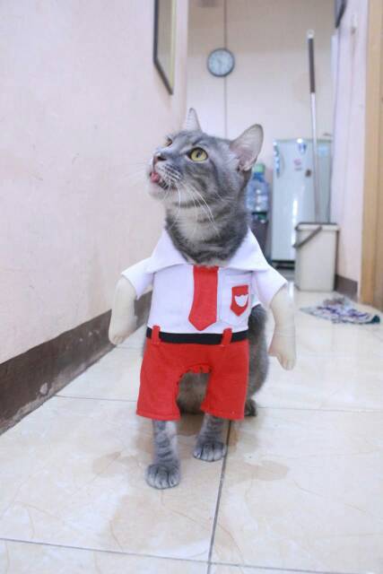 Kostum anak sekolah SD untuk kucing dan anjing lucu baju kucing murah size S M L XL