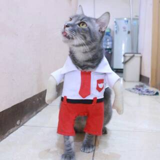 Kostum anak sekolah SD untuk kucing dan anjing lucu baju 