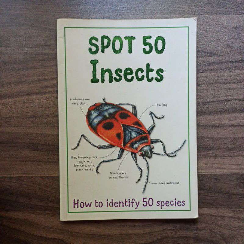 Spot 50 Insects