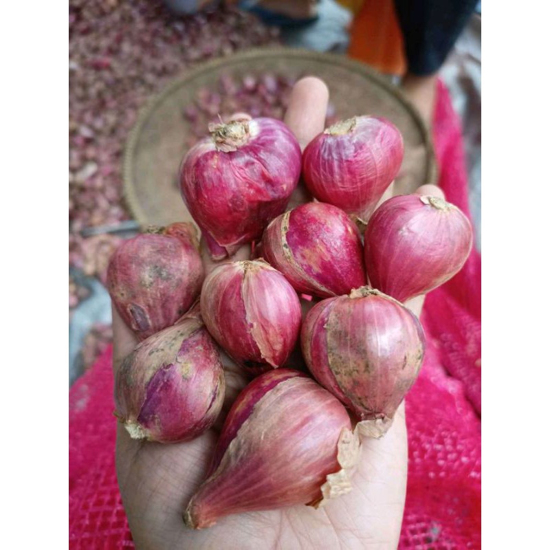 

COD✓bawang merah pilihan 250gm