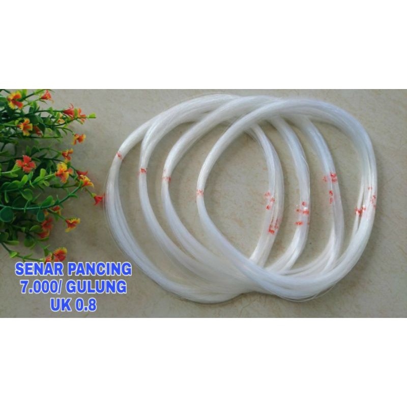 Senar Bening - Senar pancing 0.8 - Senar Kakap - Senar gelang