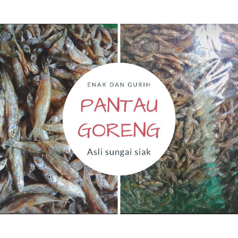 

Ikan Pantau Goreng