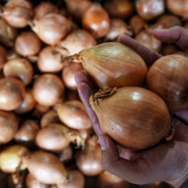 

Bawang Bombay Kiloan