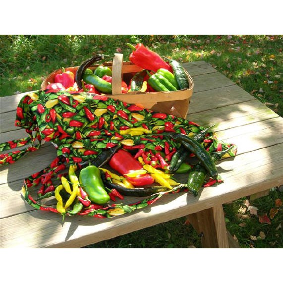 BS-BYL Bibit Cabe Hias Pelangi Benih Tanaman Sayuran Cabai Carolina Reaper Merah Bolivian Rainbow Katokkon Numex Giant Raksasa Sweet Italian Ungu Hitam-6