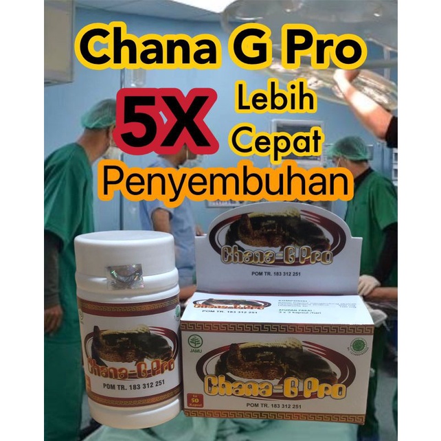 CHANA G PRO 500MG ( ALBUMIN / IKAN GABUS & IKAN KUTUK )