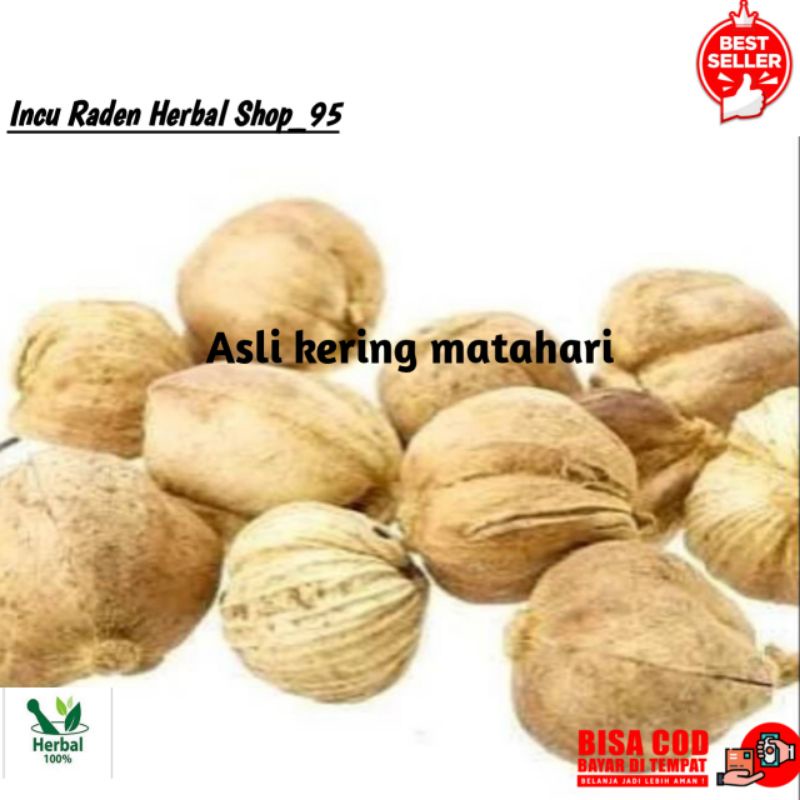 

Promo Kapulaga kering,kapolaga kering super kualitas A 100 gram