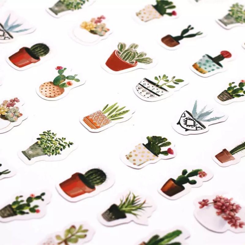 Sticker cactus kaktus tanaman plant stiker lucu cute kawaii scrapbook kpop