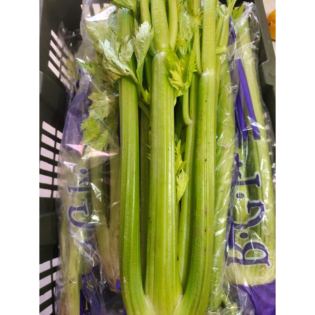 

PREMIUM MART Celery Import (1 pack)