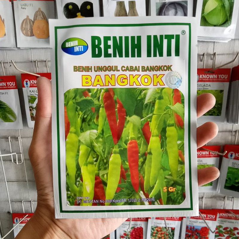 Benih Cabe Rawit Putih Bangkok Isi 5gr