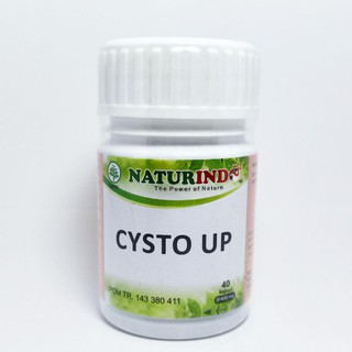 NATURINDO OBAT HERBAL PASCA SAKIT KANKER NATURINDO CYSTO UP BABAKAN