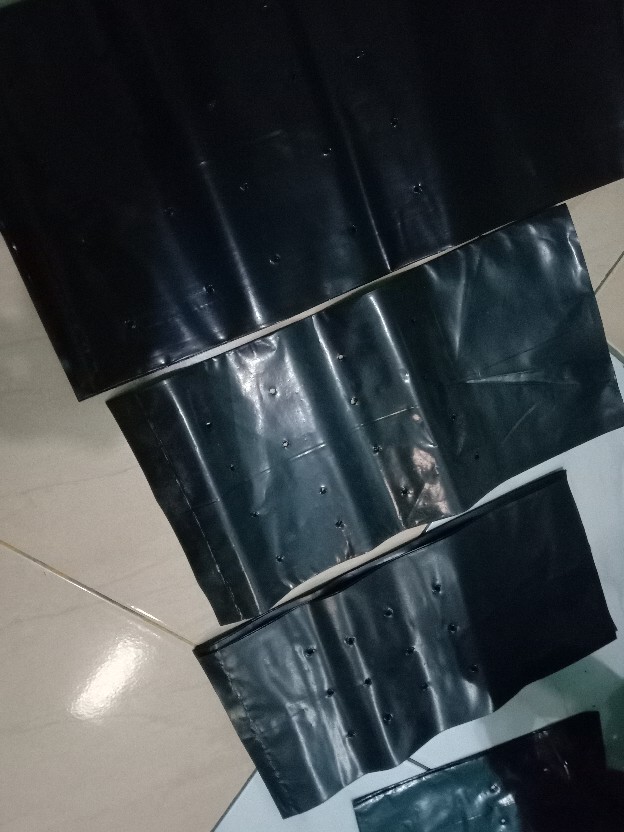 Plastik Polybag Ukuran 40 Cm Harga Eceran