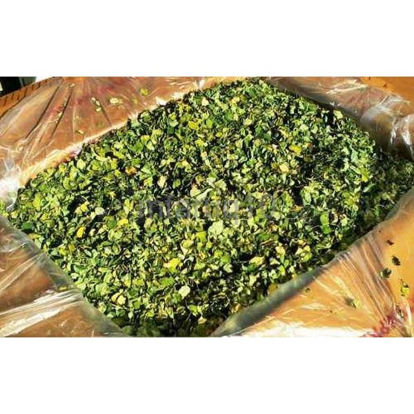 

Promo Termurah Daun Kelor Moringa oleifera leave serbuk kapsul simplisia kering