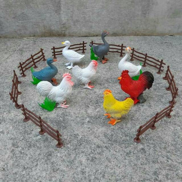 81+ Gambar Gambar Hewan Unggas Terbaru