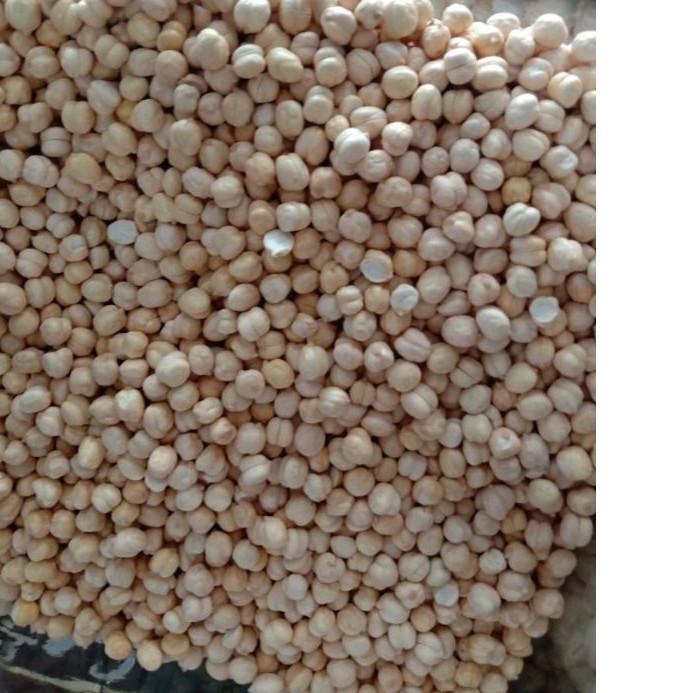 

⚡pecial 7.7 Kacang arab super 1kg produck terbaik