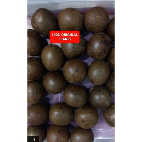 Lo han kuo - LohanKuo buah besar