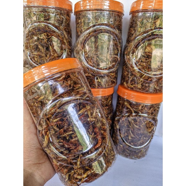 

PAKET HEMAT 3TOPLES BELALANG GORENG