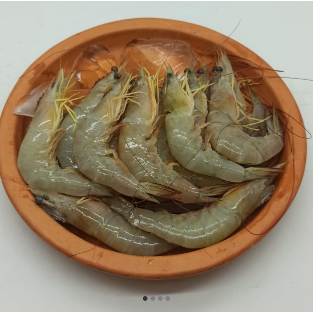 

UDANG LAUT RatuFresh