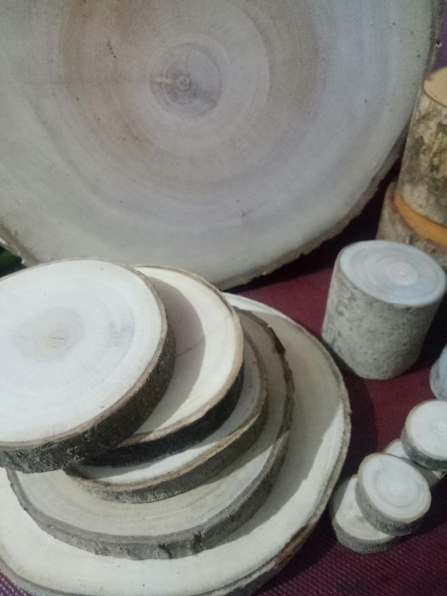 Wood Slice 23-25 Cm Log Kayu Hiasan Dinding Bahan Craft Dekorasi