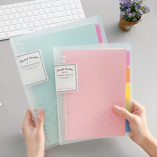 Binder Kokuyo Pastel Cookies