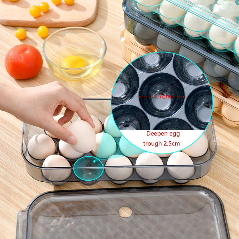 Solighter Egg Box Simplicity Dengan Tutup 16grid Container