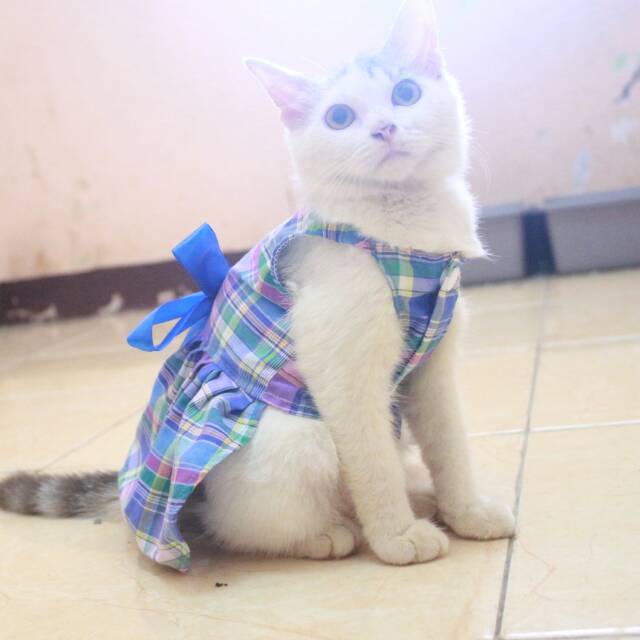 Dress kotak-kotak biru lucu untuk kucing dan anjing / baju kucing murah size S M L XL