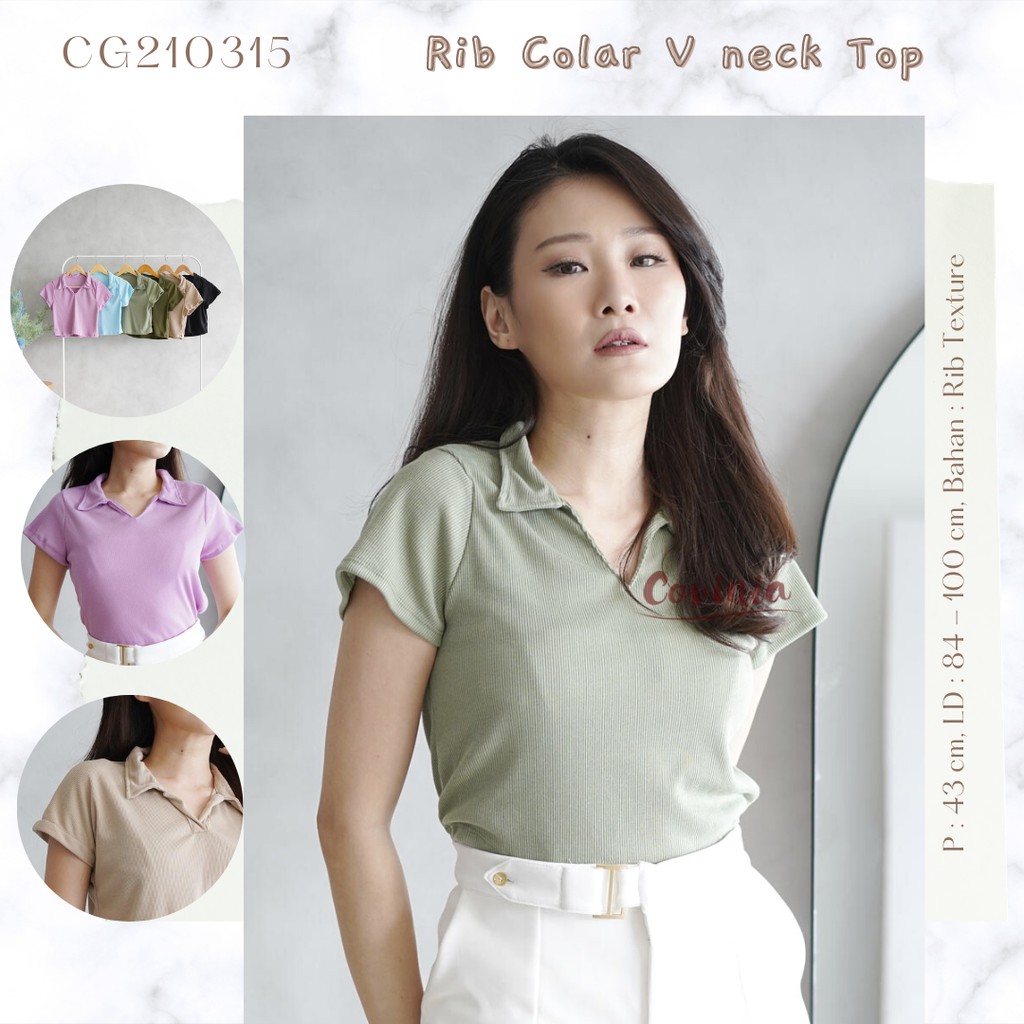 Rib Colar V-Neck Knit Top Rajut Halus Polo Shirt Texture - CG210315