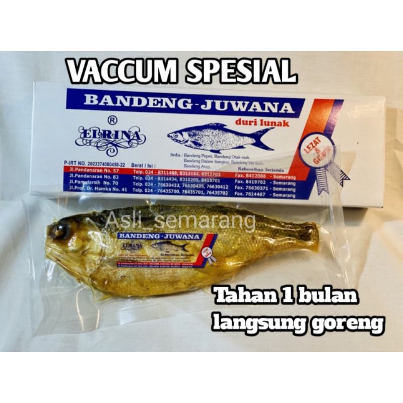 

BANDENG VACCUM BASAH SPESIAL KETAHANAN 30 HARI