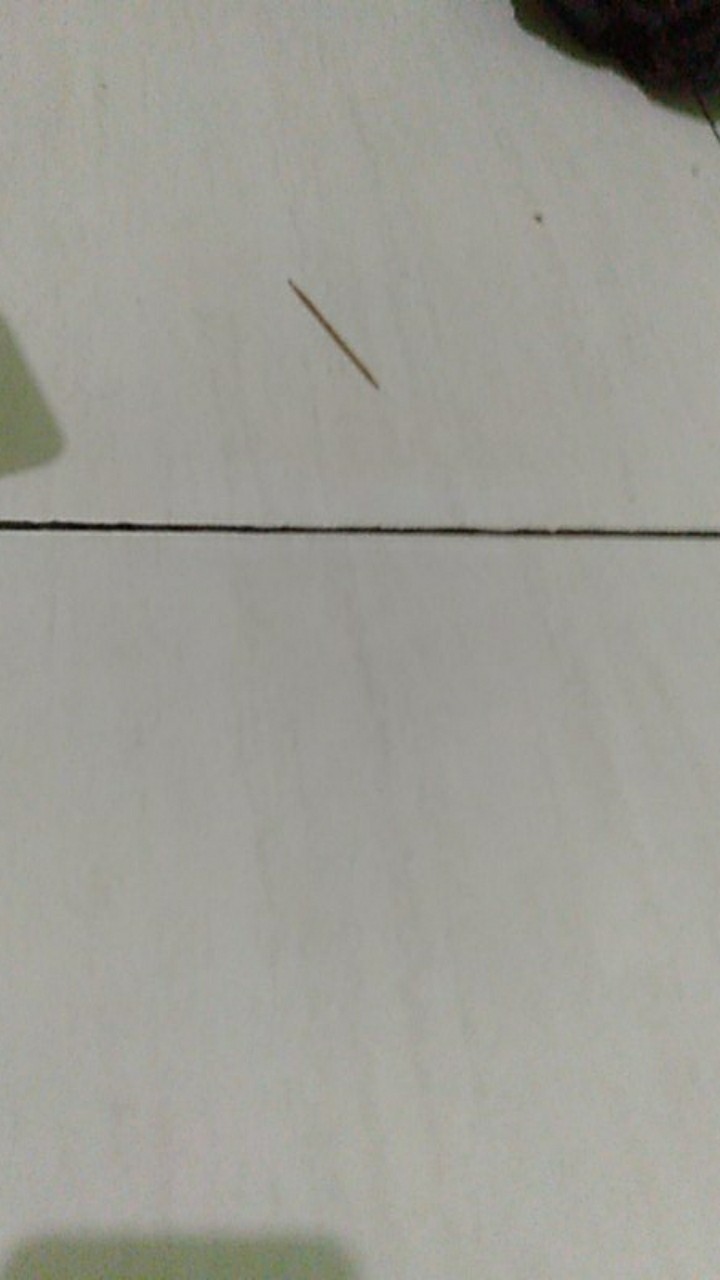 Wack Joent Sry Kotak Kaca Mata