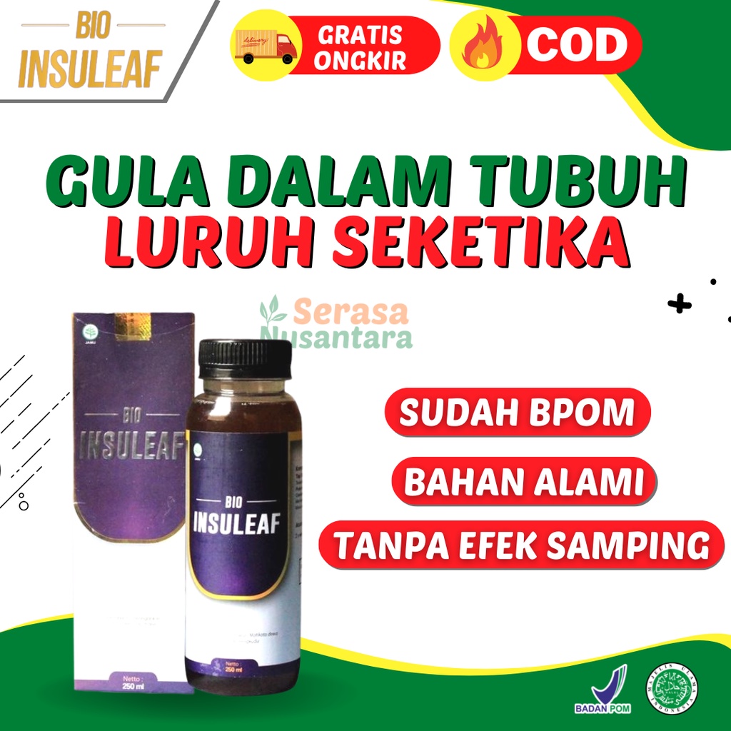 Jual Bio Insuleaf Obat Herbal Alami Khusus Diabetes Dan Kencing Manis