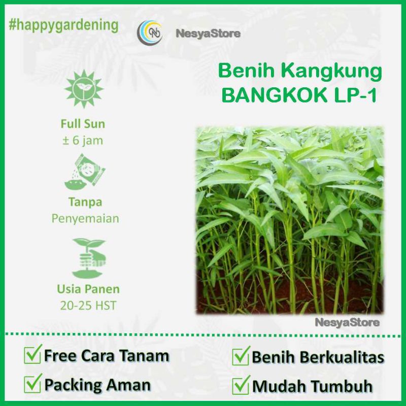 150 Benih Kangkung Bangkok Sayuran Hidroponik  - Benih Bibit Tanaman Sayur