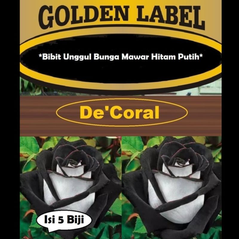 Bibit Unggul Bunga Mawar Hitam Putih |Benih Bunga Mawar Hitam Putih