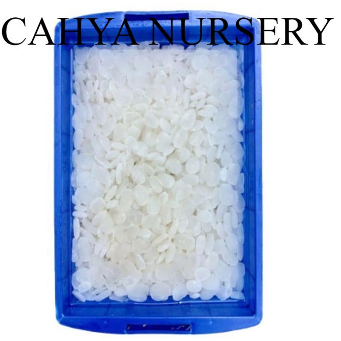 

Buah kolang kaling 600gram