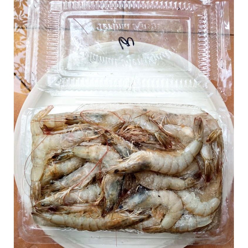 

UDANG VANAME 60 EKOR