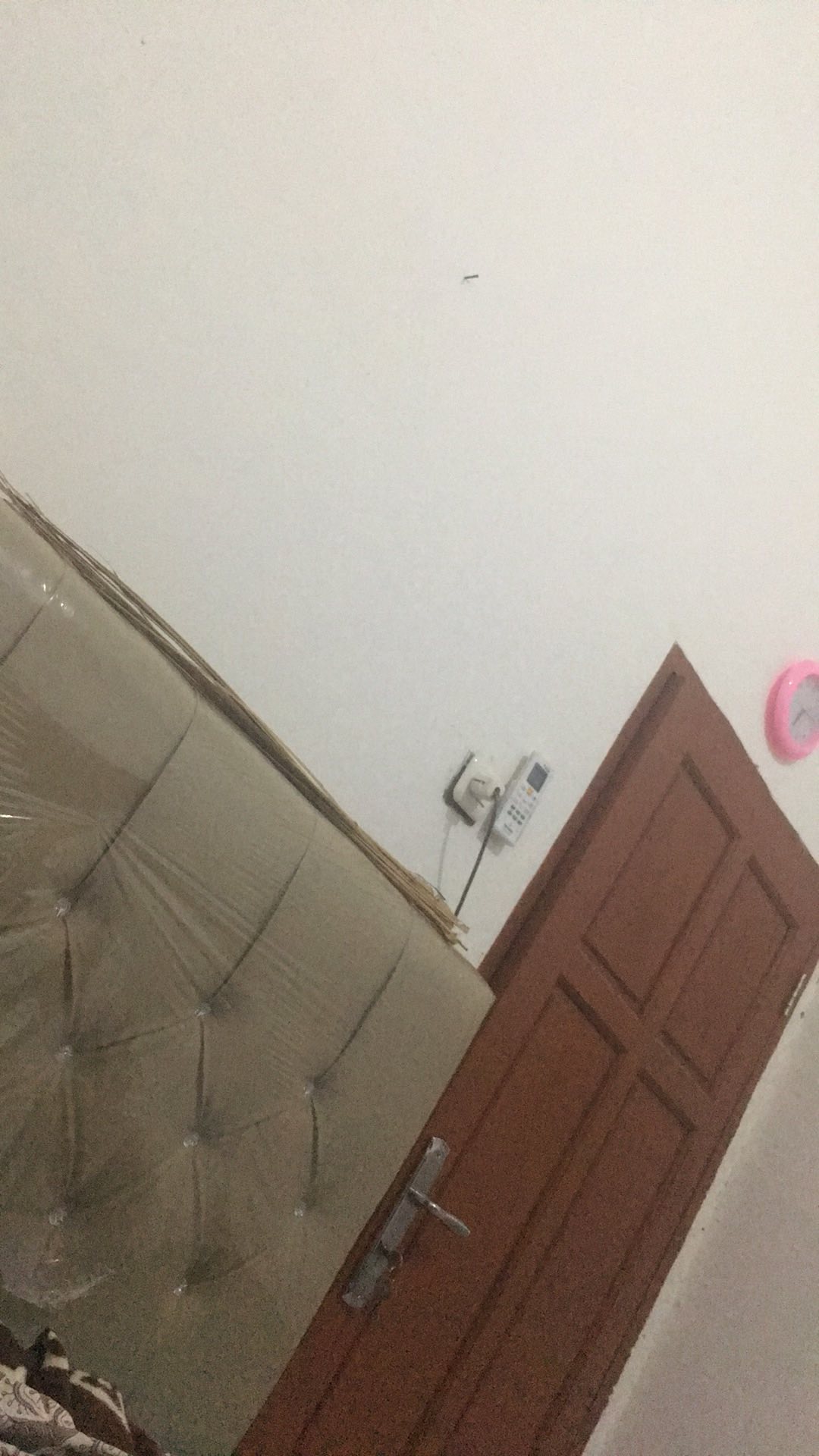 Petite Fiesta (2 Pcs)  Wadah Mini Tupwr